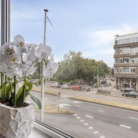 Blijdorp *